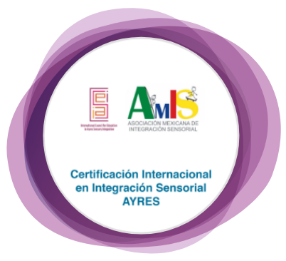 Certificación Internacional en Integración Sensorial AYRES